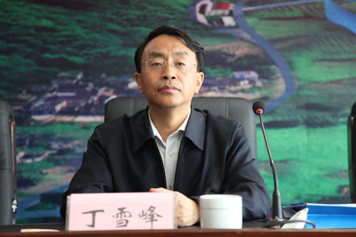 呂梁市原市長丁雪峰。 呂梁市原市長丁雪峰。